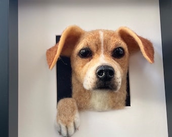 Puede incluir: Una escultura de perro de fieltro de aguja en tres dimensiones montada en un marco cuadrado negro. El perro de color canela y blanco tiene orejas caídas, ojos oscuros, nariz negra y una pata que sobresale por una abertura cuadrada en el paspartú blanco.