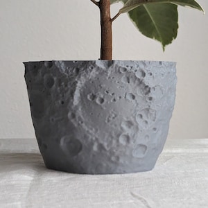 Moon Planter Pot | Design 2