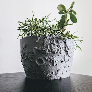 Moon Planter with Drainage, Textured Plant Pot, Eco-Friendly Planter, Lunar Lover, Cute Indoor Pot, Modern Pot for Plant 3D Printed