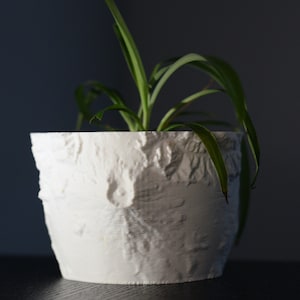以下が含まれることがあります： 表面がテクスチャ加工された白いセラミック製のプランターに、細長い緑の葉を持つ植物が入っています。