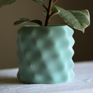 Puede incluir: Una maceta de color verde azulado claro con una textura ondulada y acanalada, que contiene una peque&ntilde;a planta con hojas abigarradas verdes y blancas. La maceta tiene un dise&ntilde;o &uacute;nico y es adecuada para uso en interiores. El tallo de la planta es visible.