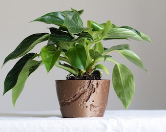 3D Printed Mars Planter: Space-Themed PLA Plant Pot