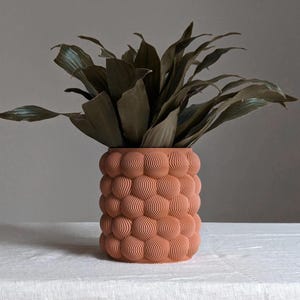 Bubble Planter with Drainage - Indoor Planter - Many Colors