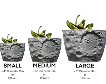 3D Printed Moon Planter: Lunar Surface Home Decor