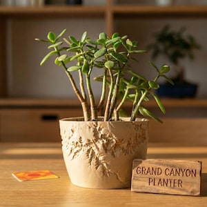 Grand Canyon Planter · Terrain Topography Plant Pot