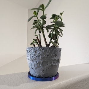 Op de afbeelding: Een kleine vetplant in een grijze, getextureerde pot met een maan-oppervlakontwerp. De pot staat op een blauw-paarse iriserende schotel. De plant heeft groene bladeren en bruine stelen.