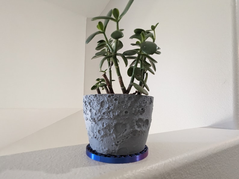 Op de afbeelding: Een kleine vetplant in een grijze, getextureerde pot met een maan-oppervlakontwerp. De pot staat op een blauw-paarse iriserende schotel. De plant heeft groene bladeren en bruine stelen.