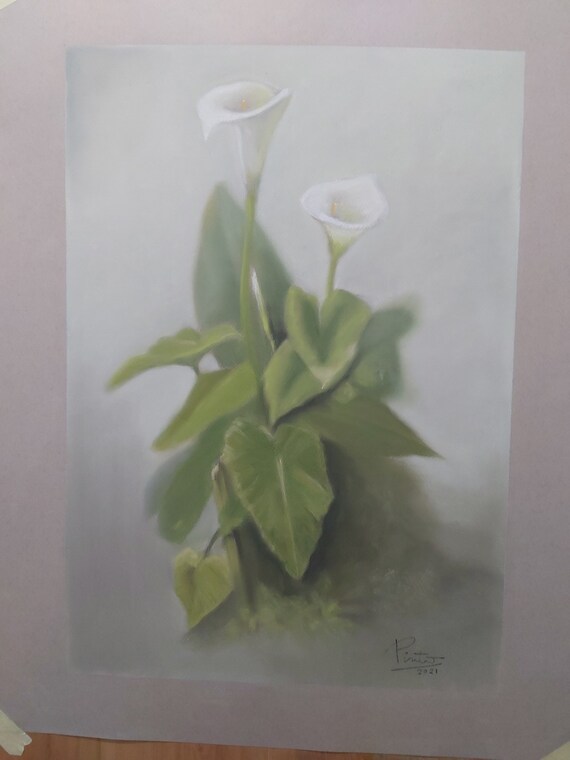 Pintura al pastel CALAS BLANCAS flores plantas - Etsy España