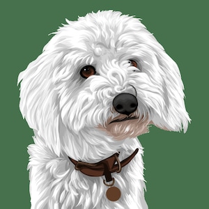 Pet Portrait, Digital pet portrait, Pet drawing, Custom Pet Portrait, Dog portrait, Custom dog portrait, cat portrait, digital portrait