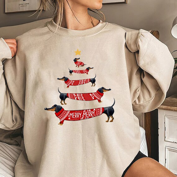 HUIFUAO Pull De Noël Pour Femme Avec Imprimé Père Noël Mignon