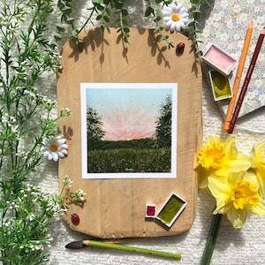 Illustration aquarelle - Fleurs des champs
