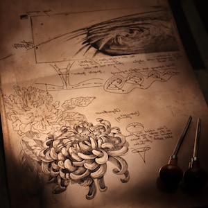 Vortex Original Hand-Engraved Copperplate Engraving, Limited Edition intaglio print featuring Cyclone, Diagrams and Chrysanthemum flower image 2