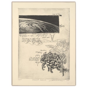 Vortex Original Hand-Engraved Copperplate Engraving, Limited Edition intaglio print featuring Cyclone, Diagrams and Chrysanthemum flower image 1