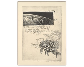 Vortex - Original Hand-Engraved Copperplate Engraving,  Limited Edition intaglio print featuring Cyclone, Diagrams and Chrysanthemum flower