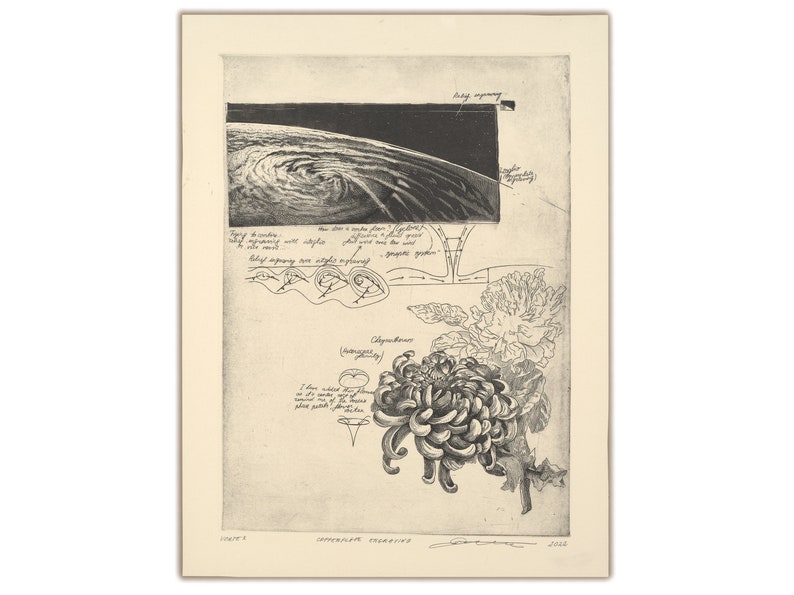 Vortex Original Hand-Engraved Copperplate Engraving, Limited Edition intaglio print featuring Cyclone, Diagrams and Chrysanthemum flower image 1