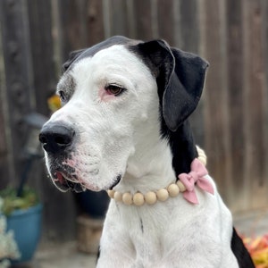 Boho Bead Dog Collar Necklace | Boho Necklace w/ Bow | Bow Dog Necklace | Cute Dog Collar | Boho Jewelry For Dogs | Pet Accessories