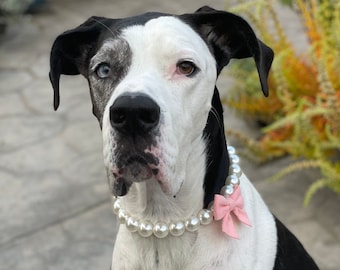 Pearl Dog Collar Necklace | Pearl Necklace w/Bow | Bow Necklace | Cute Dog Collar | Jewelry For Dogs & Cats| Pet Accessories | Cat Necklace