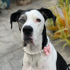 Pearl Dog Collar Necklace | Pearl Necklace w/Bow | Bow Necklace | Cute Dog Collar | Jewelry For Dogs & Cats| Pet Accessories | Cat Necklace