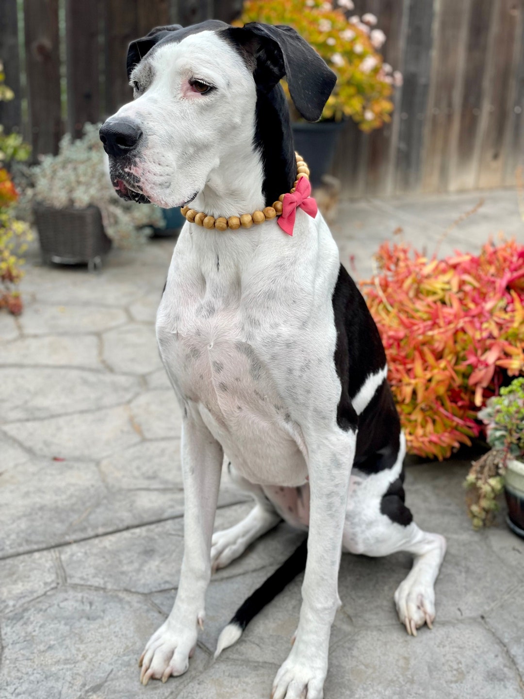 Wood Bead Dog Collar Necklace Bead Collar Necklace W/bow Bow Necklace