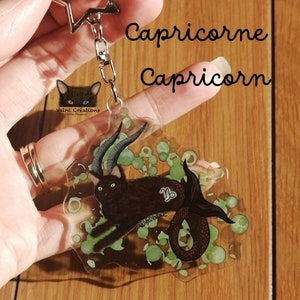Astrological Sign, Capricorn, Capricorn, Zodiac Cats, Crazy cat lady, keychains, bag charm, bag ornament, acrylic, artwork