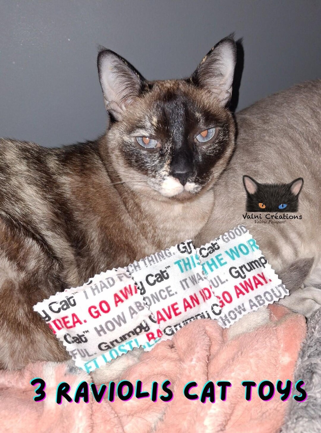 3 Ravioli Cats Toys, Catnip Toys, Cat, Fabric, Catnip, Cat Toys ...