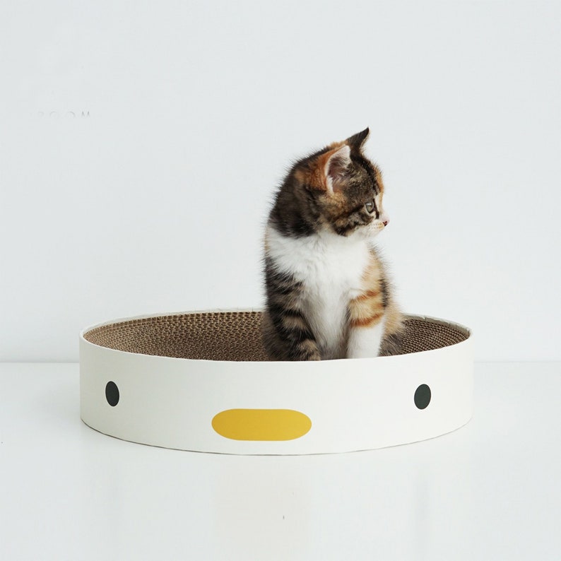 cat scratching mattress
