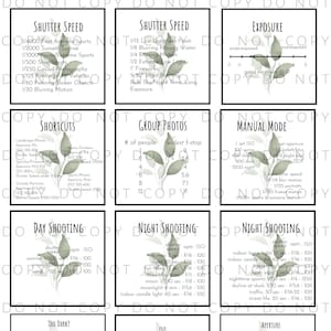 DSLR Cheat Sheet Cards - Greenery