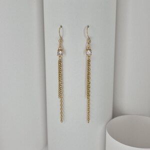 Stainless steel dangle earrings