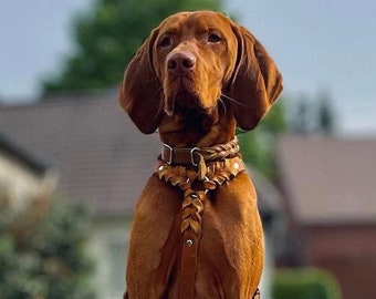 Dog harness leather - leather harness dog - made to measure -