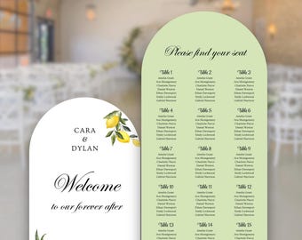 Hochzeit Willkommensschild und Sitzplan, große Hochzeitsschilder, Bogenschilder, Gästeliste bearbeitbare Vorlage, minimales Sommerdesign