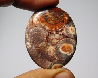 Bird Eye Jasper Stone Healing Loose Hand Polish 26X26X04 MM Valentine Gift Stone Rare Quality Bird Eye Jasper Gemstone Birth Stone US-3438