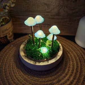 Rustieke keramische paddestoellamp warm licht natuurliefhebber cadeau uniek verjaardagscadeau paddestoel nachtlampje handgeschilderde geschenken afbeelding 4