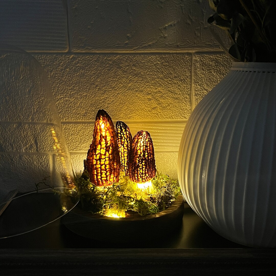 Wild Morel Mushroom Mushroom Lamp Made From Polish Black Morels USB