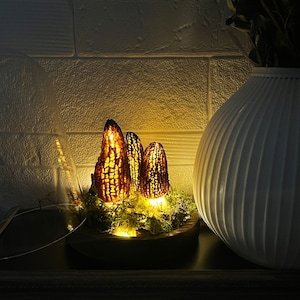 Wild morel mushroom Mushroom lamp Made from Polish black morels USB mushroom lamp Christmas gifts Mother's Day Gift Gift for her