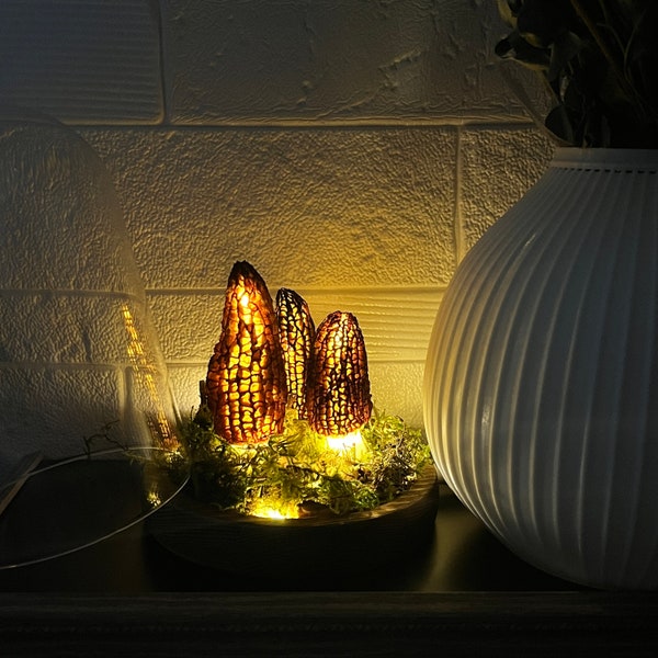 Wild morel mushroom Mushroom lamp Made from Polish black morels USB mushroom lamp Christmas gifts Mother's Day Gift Gift for her