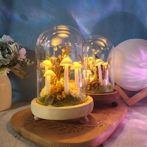 Lampe de champignon de fleur séchée naturelle Décor de salle Lumières de champignon Cadeau d’anniversaire, Cadeau de mariage, Cadeau de Noël, Décoration intérieure minimaliste