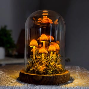 Handmade Brown Red Mushroom Lamp with Dried Flowers – Whimsical Room Decor, Bedroom Decor, Anniversary Gift