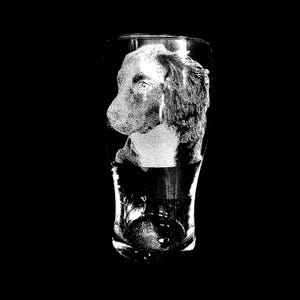 Puede incluir: Un vaso de pinta de cristal transparente con un retrato grabado en blanco de un perro spaniel en la parte frontal. El perro se muestra de perfil, mirando a la izquierda, con una textura de pelaje detallada y rasgos faciales visibles.
