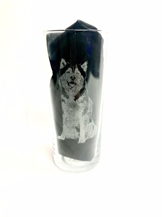 HUSKY photo engraved  Beer glassware, etched, picture, gift. Wine, pint, whiskey, tankard, gin, vase, Christmas