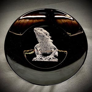 Pode incluir: Uma tigela preta circular com um gráfico detalhado de cor clara gravado a laser de um lagarto dragão barbudo centrado na base interior. A tigela tem uma superfície lisa e reflexiva com uma borda larga e um design de bacia profunda.