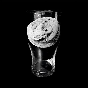 May include: A clear glass with a black band, featuring a detailed, textured, coiled snake design. The snake is in shades of grey and white, set against a black background. The glass is likely for beverages.