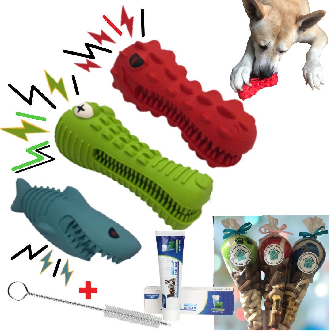 BUNDLE Indestructible Toothbrush Toy W/ Doggy Dental Cream & A Doggy Treat Cone Perfect Way to