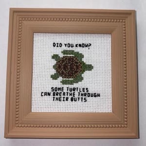 May include: A square cross-stitch embroidery in a light brown frame featuring a green and brown turtle graphic. The black text reads: DID YOU KNOW? SOME TURTLES CAN BREATHE THROUGH THEIR BUTTS. The design is stitched on white fabric with a grid pattern.