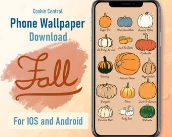 Cute Pumpkin Variety Phone Wallpaper Descarga digital