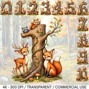 Birthday Number Png Clipart Bundle, Birthday Party Png, Forest Birthday Boy Girl Png, Happy Birthday Png, Birthday Png, Birthday Png Bundle