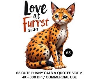 65 Funny Cat Quotes Clipart Bundle, Funny Cat Clipart, Watercolor Cat Clipart, Funny Cat Png, Funny Cat Sublimation Png, Funny Quotes Bundle