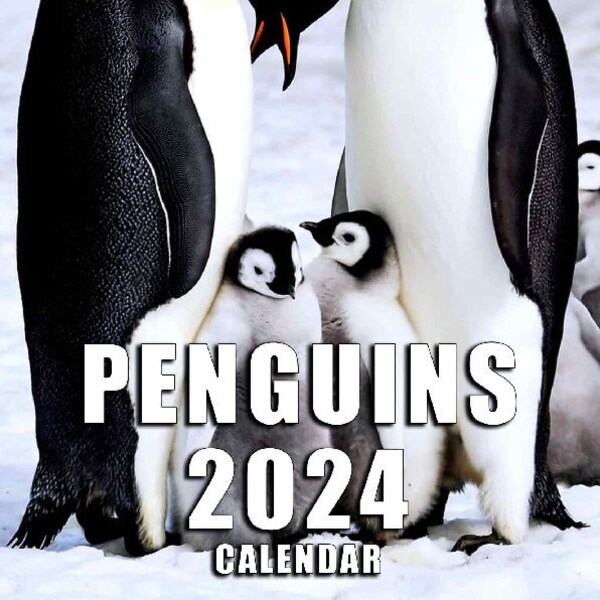 Paper Penguin 2024 Calendar Etsy