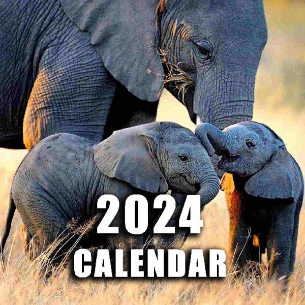 Elephant Calendar Etsy UK