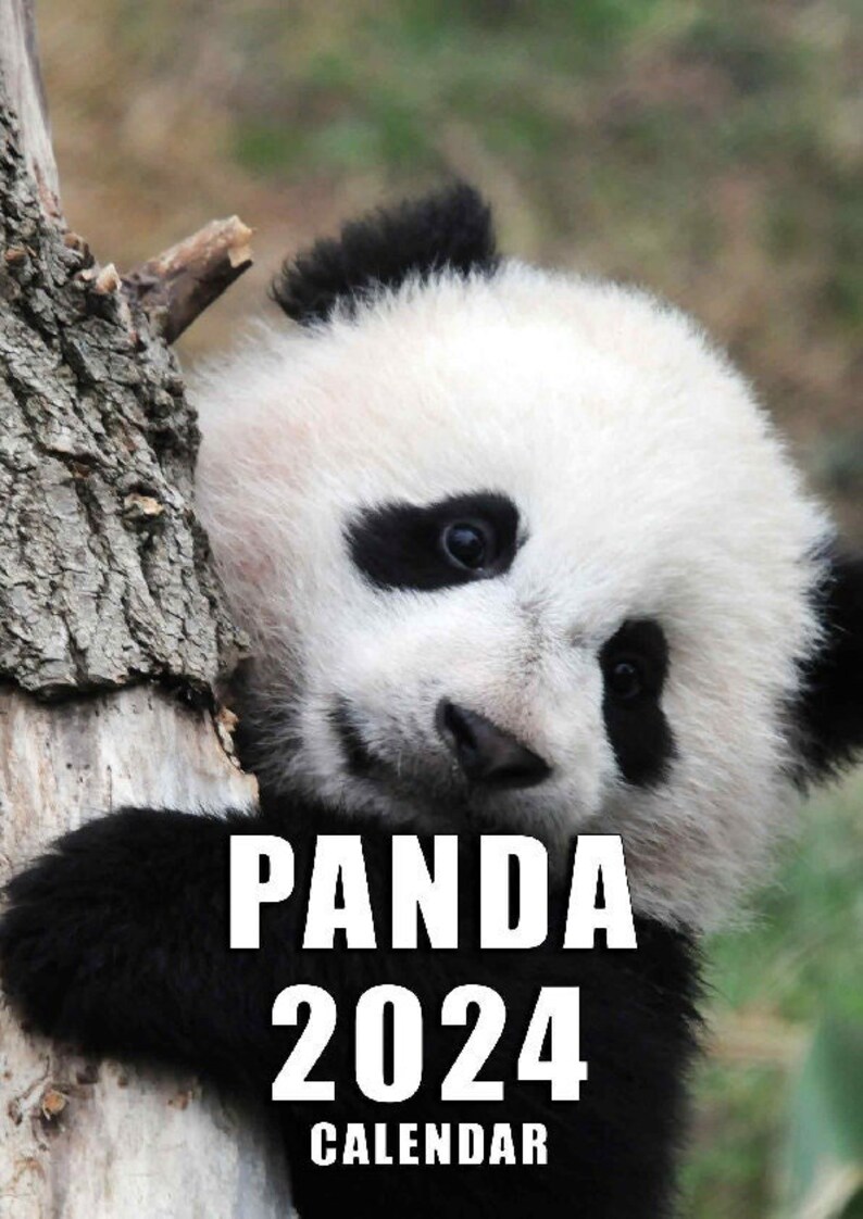 Panda Calendar 2024 Etsy