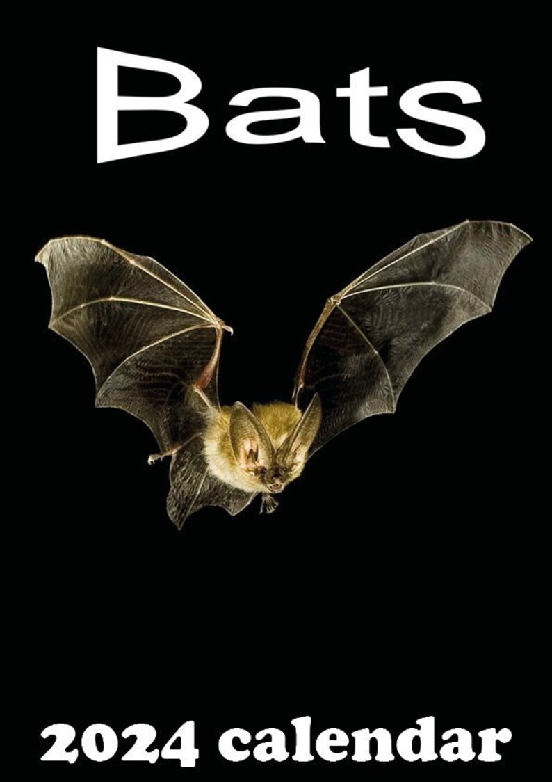 Bats Calendar 2024 Etsy